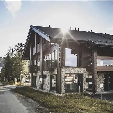 Platinum Aurora Levi