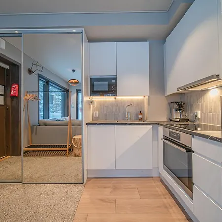 Platinum Aurora Vakantiehuis Levi