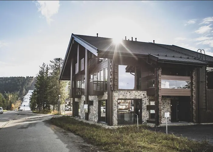 Platinum Aurora Levi